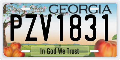 GA license plate PZV1831