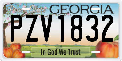 GA license plate PZV1832