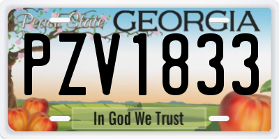 GA license plate PZV1833