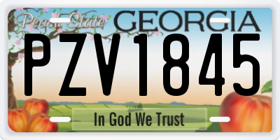 GA license plate PZV1845