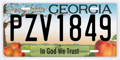 GA license plate PZV1849