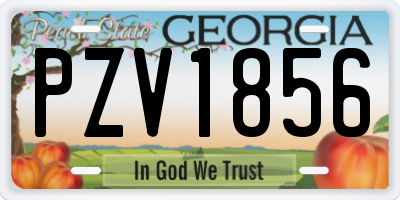 GA license plate PZV1856