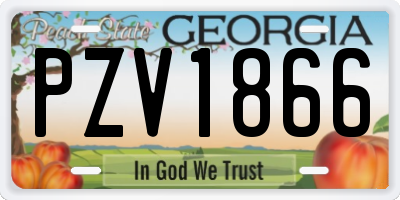 GA license plate PZV1866