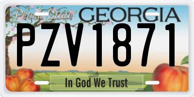 GA license plate PZV1871