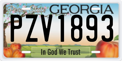 GA license plate PZV1893