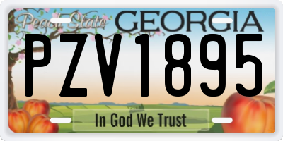 GA license plate PZV1895