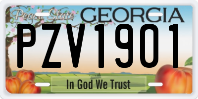 GA license plate PZV1901