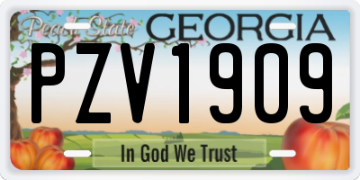 GA license plate PZV1909