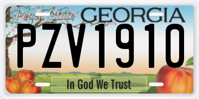 GA license plate PZV1910