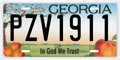 GA license plate PZV1911