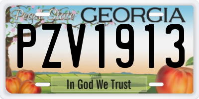 GA license plate PZV1913