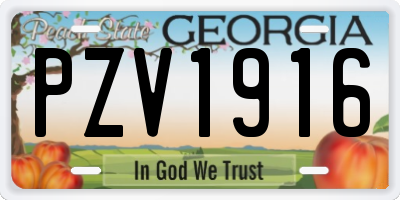 GA license plate PZV1916