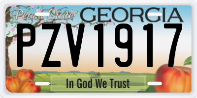 GA license plate PZV1917