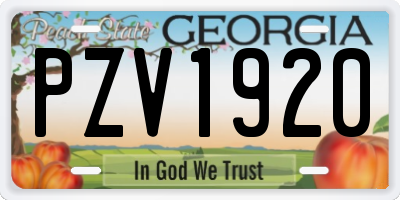 GA license plate PZV1920