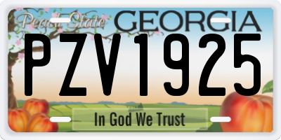 GA license plate PZV1925