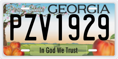 GA license plate PZV1929