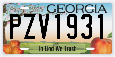 GA license plate PZV1931