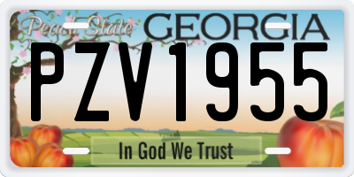 GA license plate PZV1955