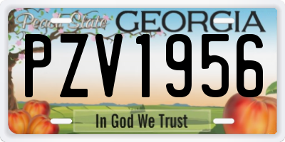 GA license plate PZV1956