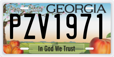 GA license plate PZV1971