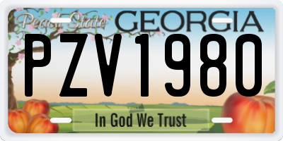GA license plate PZV1980