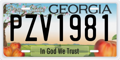 GA license plate PZV1981