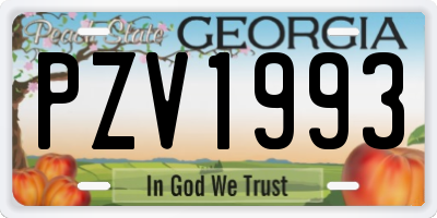 GA license plate PZV1993