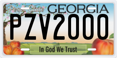 GA license plate PZV2000