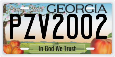GA license plate PZV2002