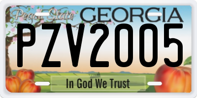 GA license plate PZV2005