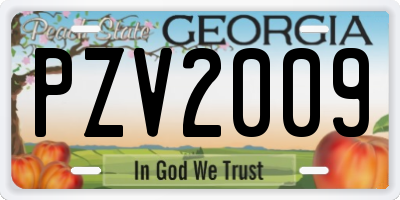 GA license plate PZV2009