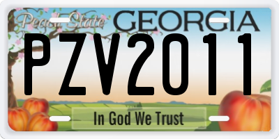 GA license plate PZV2011