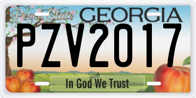 GA license plate PZV2017