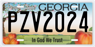 GA license plate PZV2024