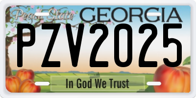 GA license plate PZV2025