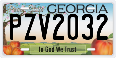 GA license plate PZV2032