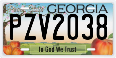GA license plate PZV2038