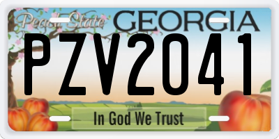 GA license plate PZV2041