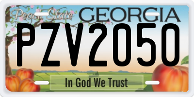 GA license plate PZV2050