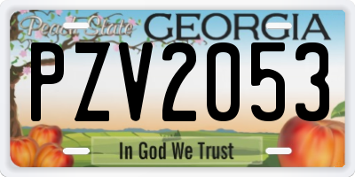 GA license plate PZV2053