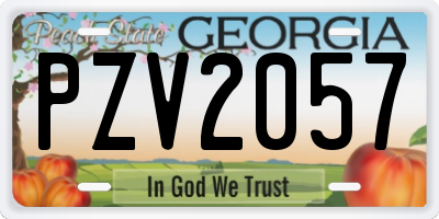 GA license plate PZV2057