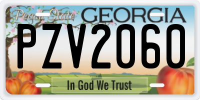 GA license plate PZV2060