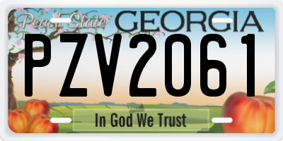 GA license plate PZV2061
