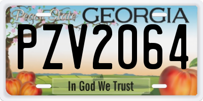 GA license plate PZV2064