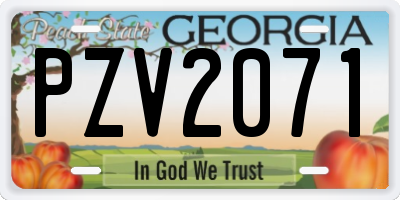 GA license plate PZV2071