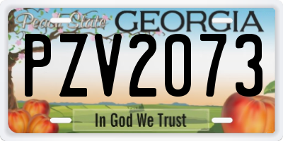 GA license plate PZV2073