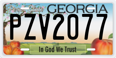 GA license plate PZV2077