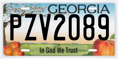 GA license plate PZV2089
