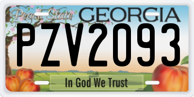GA license plate PZV2093