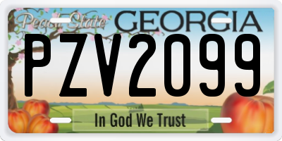 GA license plate PZV2099